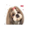 40 pinzas para el pelo para perros bonitos pasadores de 1_5