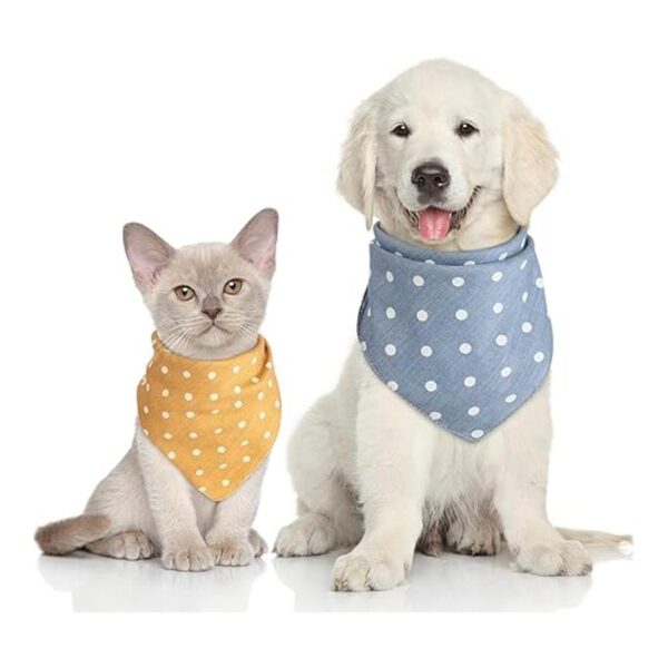 Bandana de perro de 5 piezas Bandana de verano para