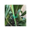 VIMOA Corbatas de jardín con cortador para plantas viñas_4