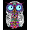 Baby Owl Fuzzy detallada de terciopelo para colorear_1