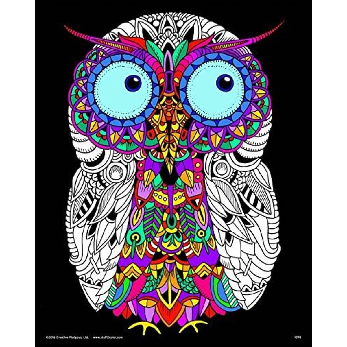 Baby Owl Fuzzy detallada de terciopelo para colorear