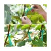 TELENT OUTDOORS 2 cintas elásticas de 150 pies x 12