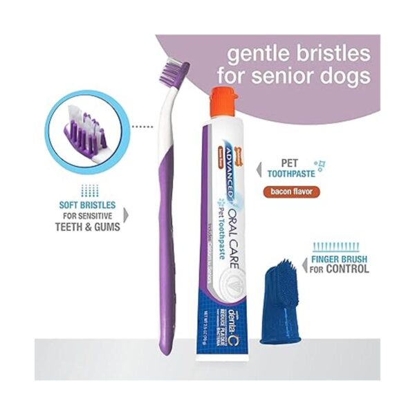 Set dental del cuidado oral avanzado de Nylabone Pequeño