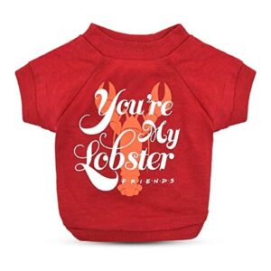 Warner Bros Friends TV Show Youre My Lobster Soft_1