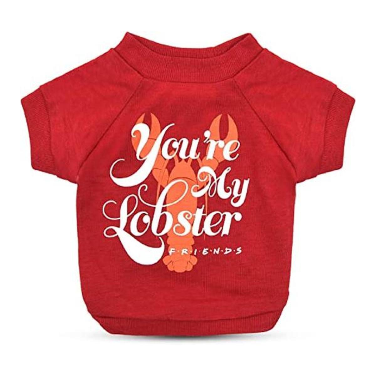 Warner Bros Friends TV Show Youre My Lobster Soft