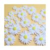 HADDIY Margaritas de resina para manualidades 50 piezas_3