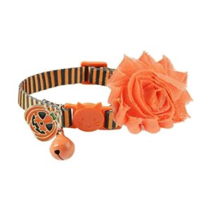 Collar de gato con campanilla y calabaza_1