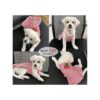 Dog Shirt Striped Skirt Pet Dress Clothes Puppy TShirts_3