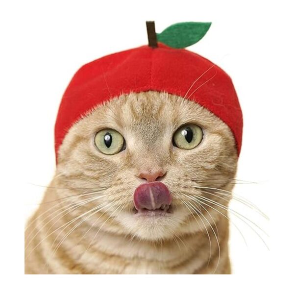 Kitan Club Cat Cap Caja ciega para sombrero de mascota