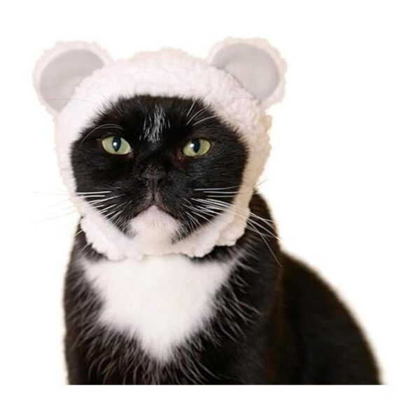 Kitan Club Gorra para gatos caja ciega con sombrero para