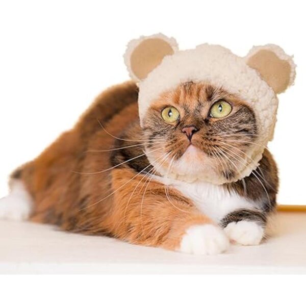 Kitan Club Gorra para gatos caja ciega con sombrero para