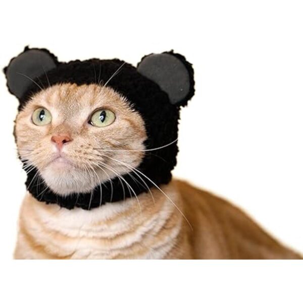Kitan Club Gorra para gatos caja ciega con sombrero para