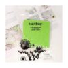 HONBAY 4 césped artificial de musgo para jardín de hadas