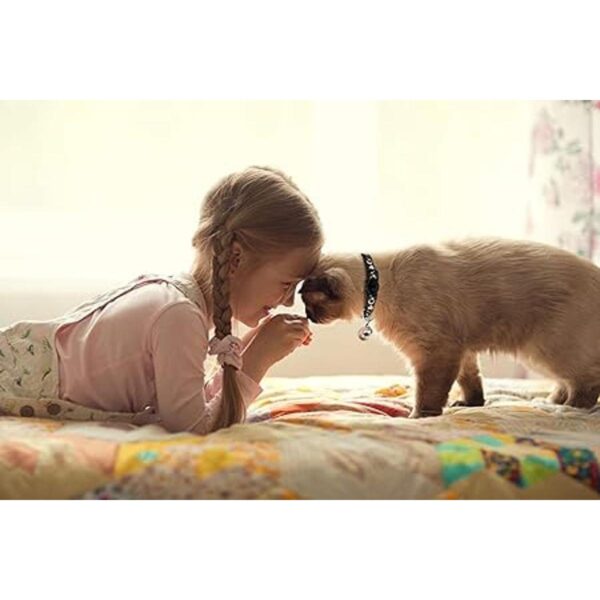 2 collares de gato con campana lunas estrellas gatito