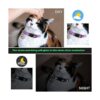 2 collares de gato con campana lunas estrellas gatito