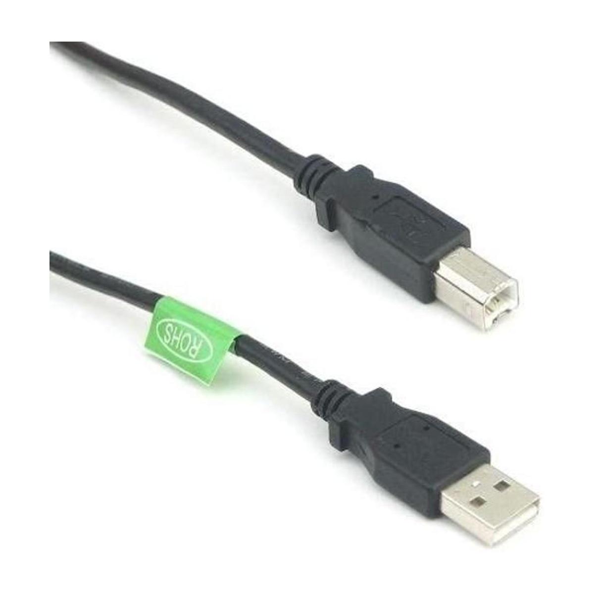 riteav Cable USB 2.0 AB 1 ft.