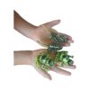 Sensory4u Frog Life Cycle Amphibian Metamorfosis Science
