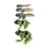 Sensory4u Frog Life Cycle Amphibian Metamorfosis Science