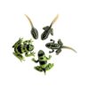 Sensory4u Frog Life Cycle Amphibian Metamorfosis Science