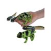 Sensory4u Frog Life Cycle Amphibian Metamorfosis Science