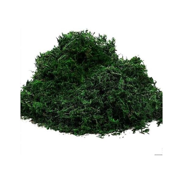 Byher 92926 Musgo de bosque verde fresco 8 onzas 200