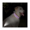 Taglory Collar reflectante ajustable para perro hebilla_5
