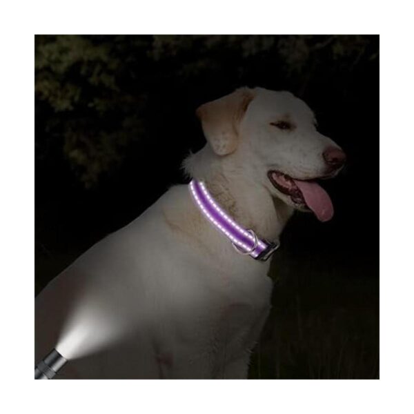 Taglory Collar reflectante ajustable para perro hebilla_5