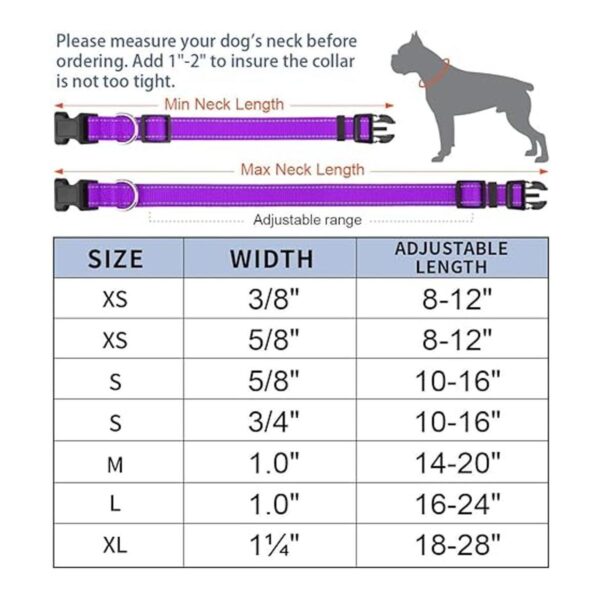 Taglory Collar reflectante ajustable para perro hebilla_6