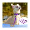 Taglory Collar reflectante ajustable para perro hebilla_3