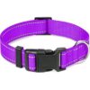 Taglory Collar reflectante ajustable para perro hebilla_1