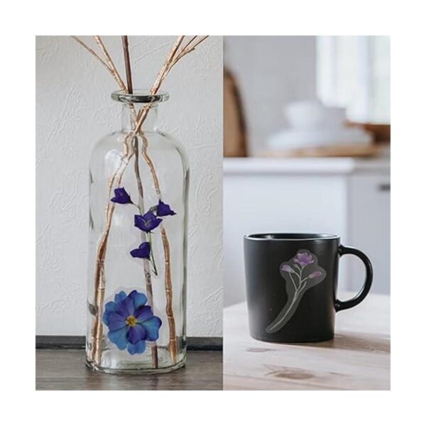 Modixun 160 calcomanías decorativas transparentes para