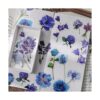 Modixun 160 calcomanías decorativas transparentes para