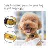 Qqpets Collar para perro personalizado suave cómodo