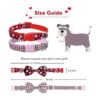 Paquete de 2 collares de corbatín para perro de San