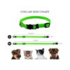 GAMUDA Collares para cachorros Identificación de nailon_2
