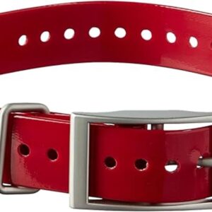 Garmin Collar de perro de 1.0 in rojo_1