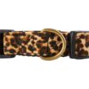 Petiry Collar de perro de tela flocada estampado de_3