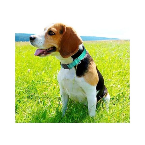 Joytale Collar reflectante para perro de neopreno suave_2