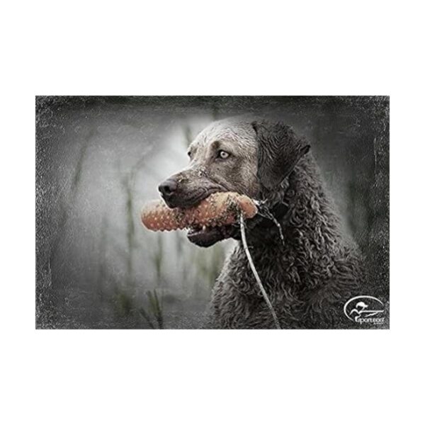 SportDOG Brand Chupetes de plástico Herramienta de_2