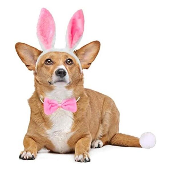 Juego de disfraz de conejo para perro orejas de conejo_1