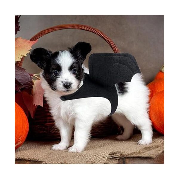 Rypet Disfraz de Halloween para mascotas para Halloween