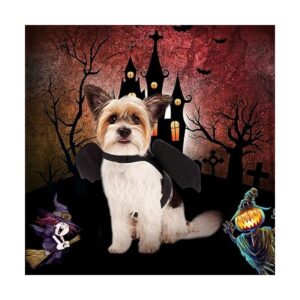 Rypet Disfraz de Halloween para mascotas para Halloween