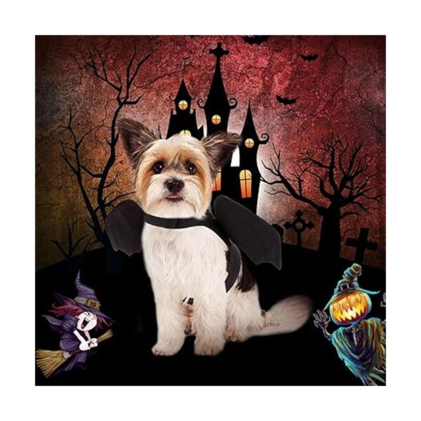 Rypet Disfraz de Halloween para mascotas para Halloween