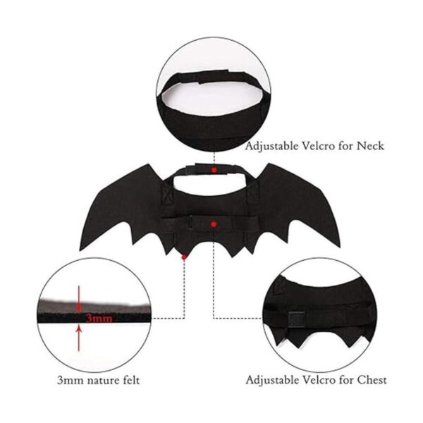 Disfraz de gato de Halloween con alas de murciélago ropa