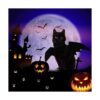 Disfraz de gato de Halloween con alas de murciélago ropa