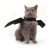 Disfraz de gato de Halloween con alas de murciélago ropa