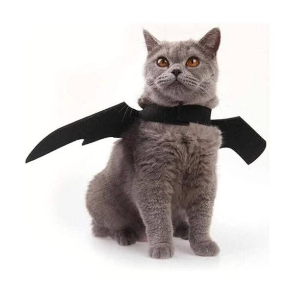 Disfraz de gato de Halloween con alas de murciélago ropa