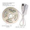 RUICHEN Cable plateado de 33 pies 100 luces LED USB con