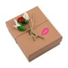 Pegatinas para labios pegatinas extraíbles_2