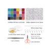 GREENTIME Cuentas de semillas para hacer pulseras kit de_2